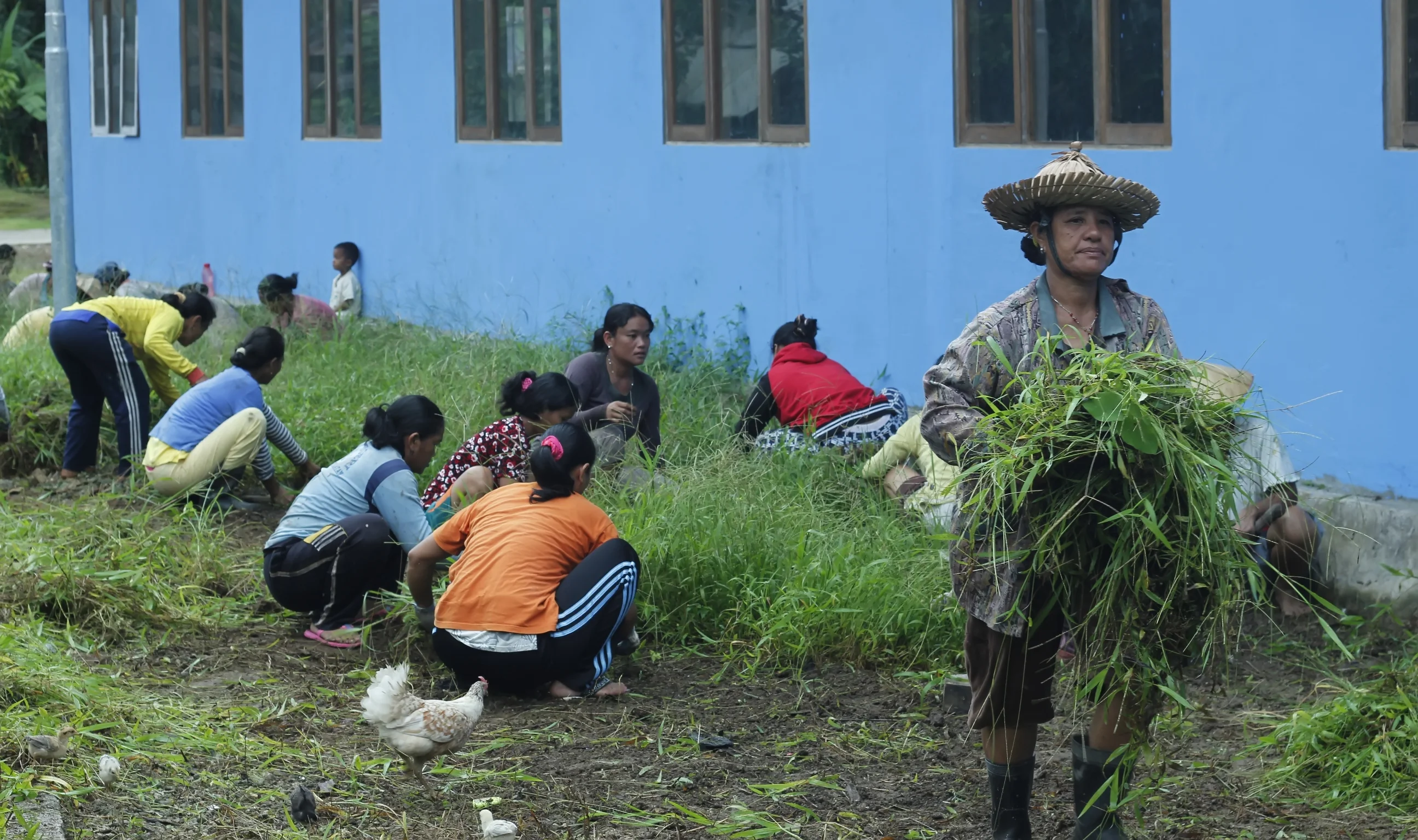 Toplum Çalışması