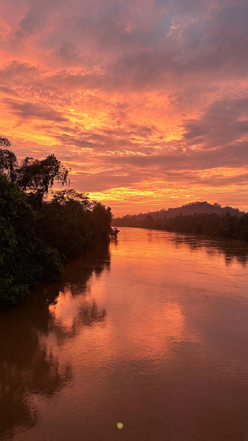 Orangutan & Houseboat Macerası - Görsel 6