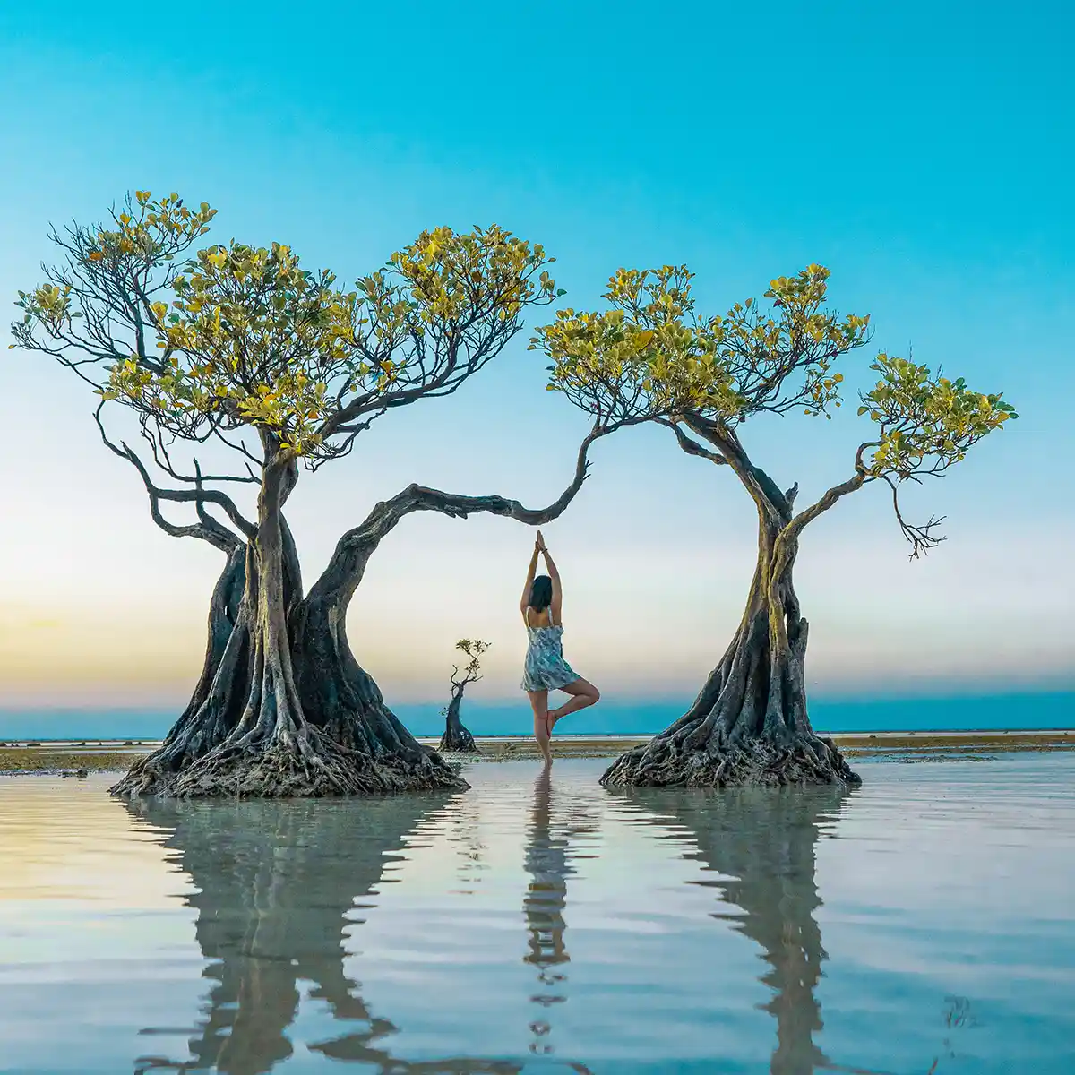 Sumba – Pasola Festival & Megalitik Köyler Özel - Görsel 7