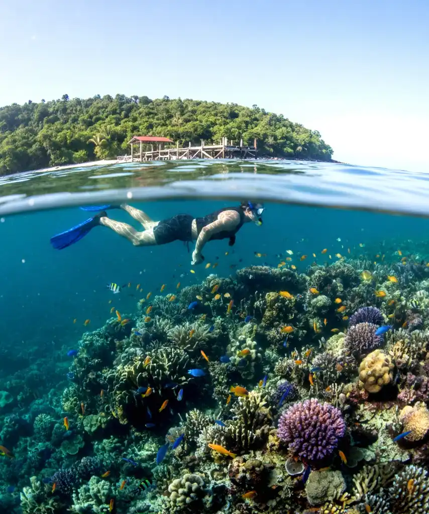 Papua – Raja Ampat All in One Turu - Görsel 12