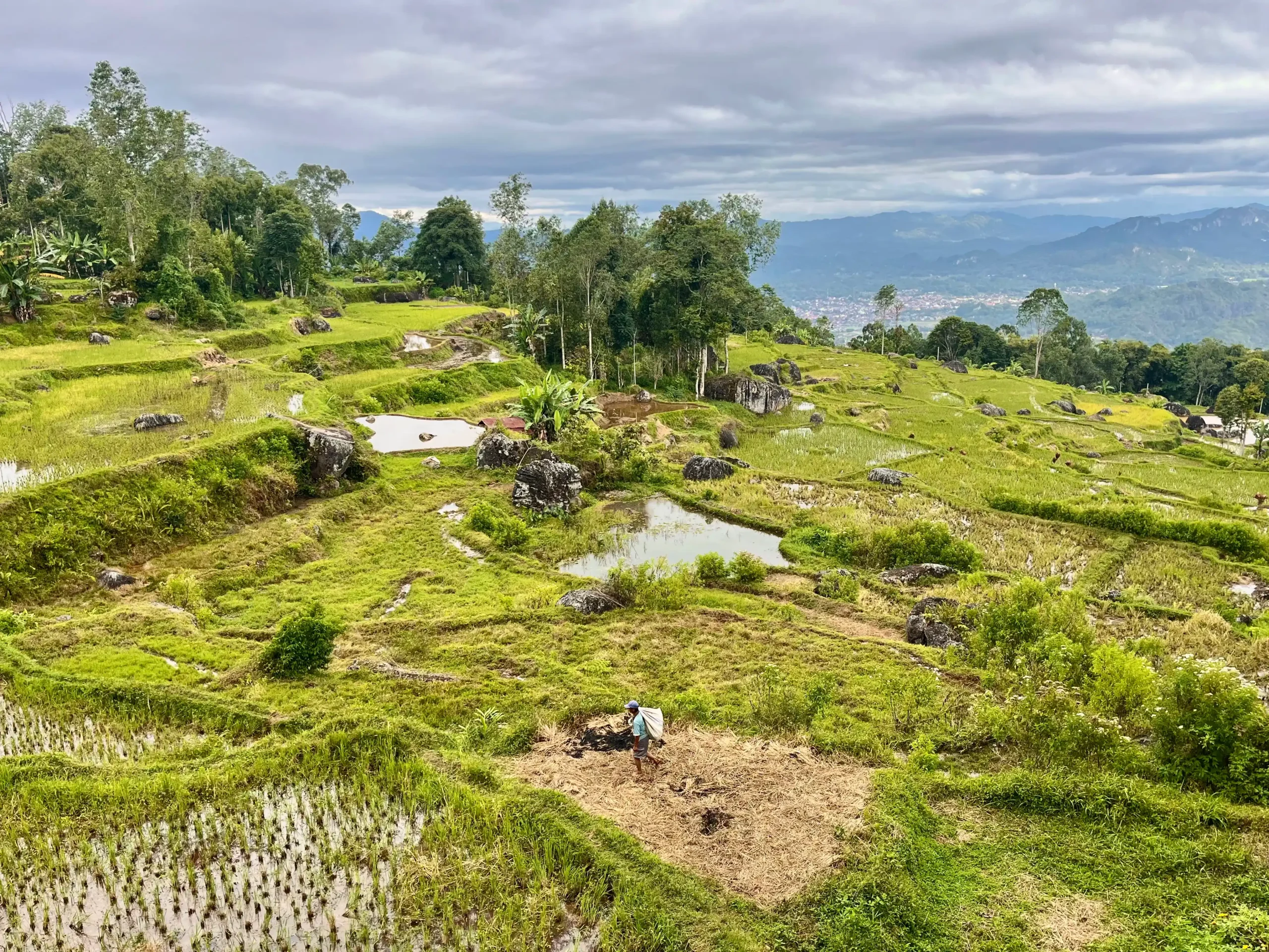 Sulawesi – All in One Turu