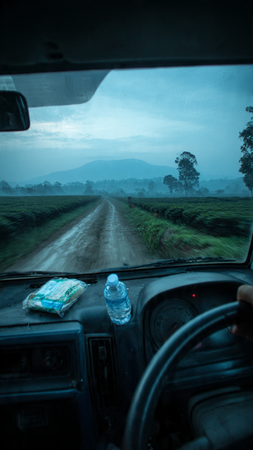 Sumatra - Kerinci & Vahşi Doğa Turu - Görsel 10