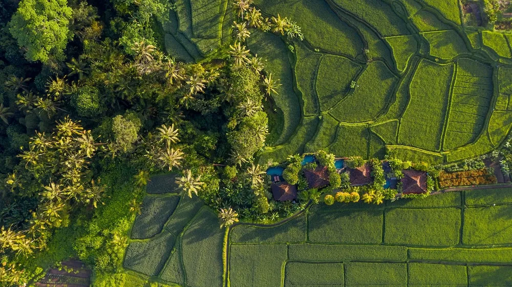 Madani Antique Villas 1